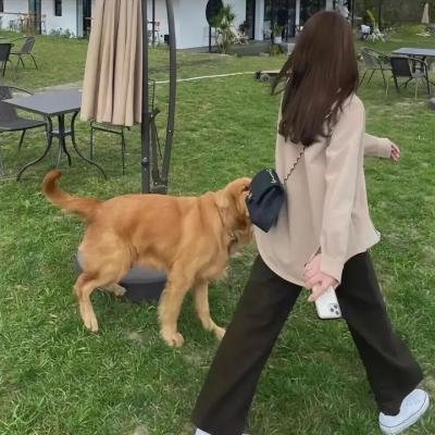 怪病医拉姆尼